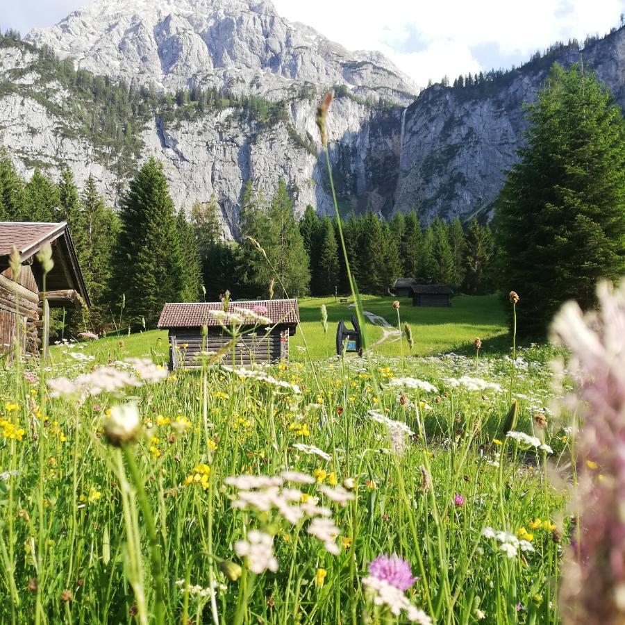 Gaestehaus Wilhelmshof Ehrwald Buitenkant foto
